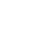 Evolution games at Vegas Kings Casino